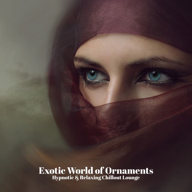 Exotic World of Ornaments - Hypnotic & Relaxing Chillout Lounge - Hindi Direction