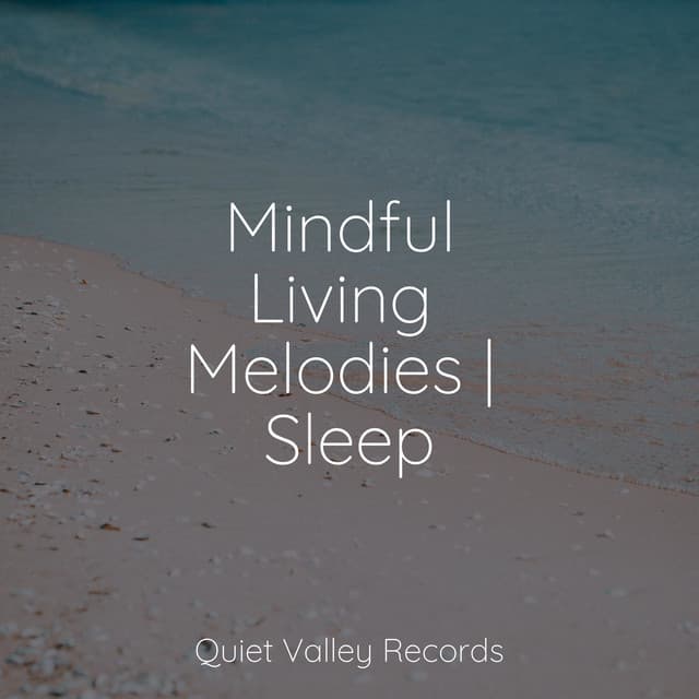 Mindful Living Melodies | Sleep - The Rain Library