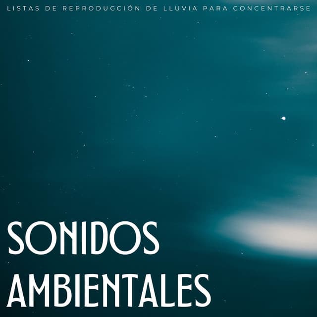 Sonidos Ambientales: Listas De Reproducción De Lluvia Para Concentrarse - El Tiempo Central