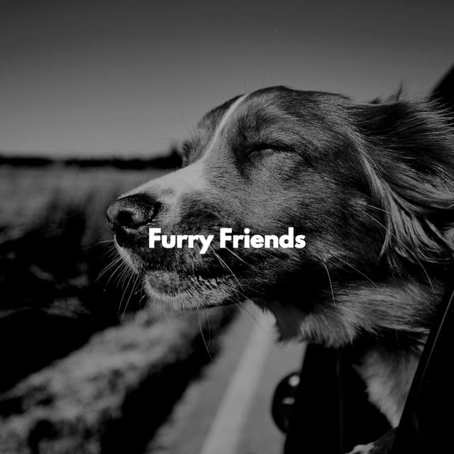 Furry Friends - Songs for Dogs to Sleep To
