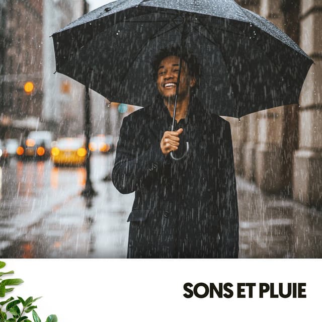 Sons et Pluie: Mélodies de la Nature - Relajacion