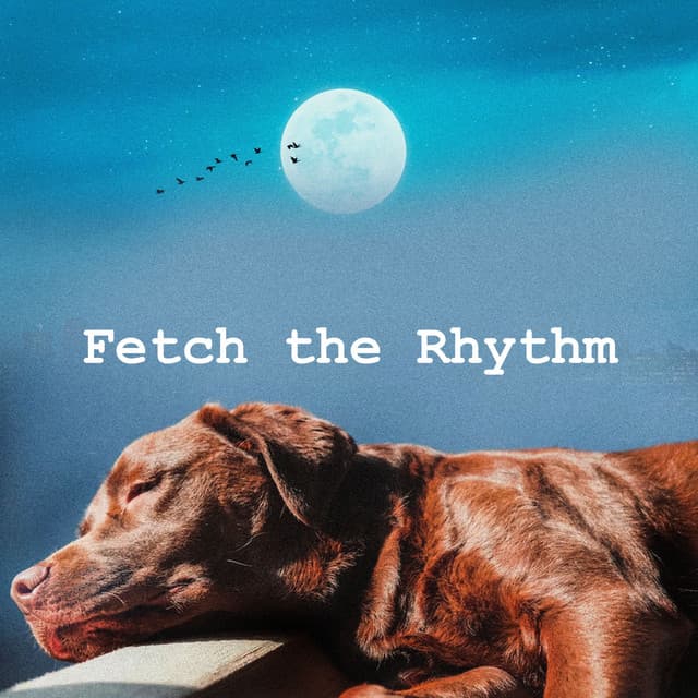 Fetch the Rhythm - Music For Pets
