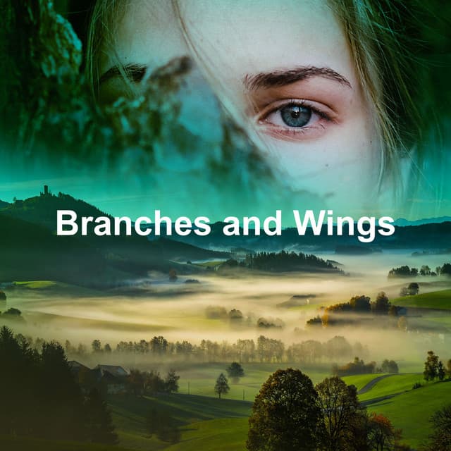 Branches and Wings - Rainforest Spa Relaxing