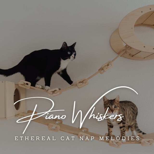 Piano Whiskers and Harmony: Cat Serenades - Romantic Piano