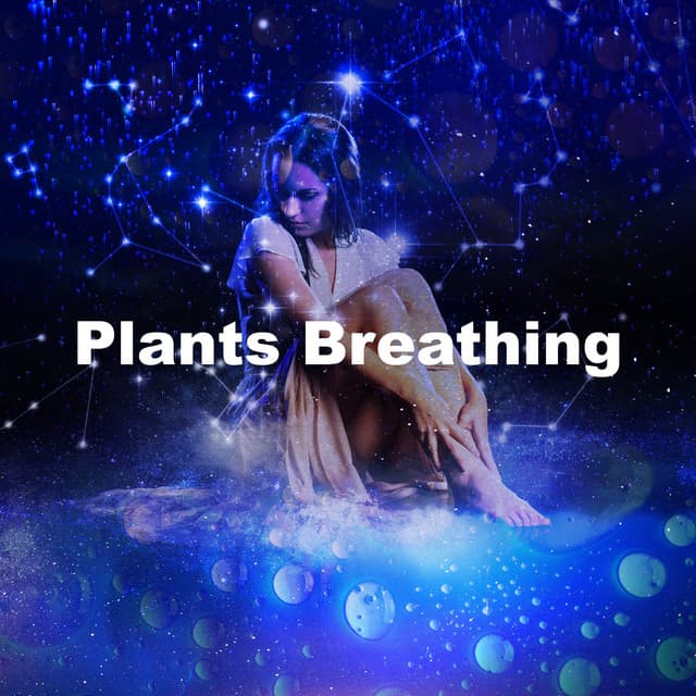 Plants Breathing - Ruido y Naturaleza
