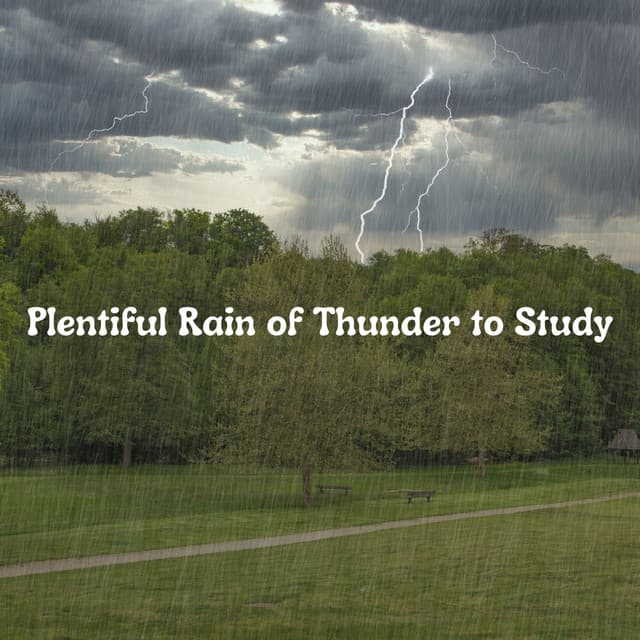 Plentiful Rain of Thunder to Study - Thunderstorms