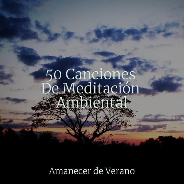 50 Canciones De Meditación Ambiental - Canciones Para Niños