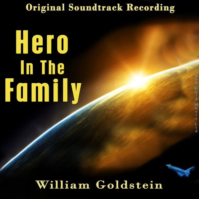 Hero In The Family - William Goldstein