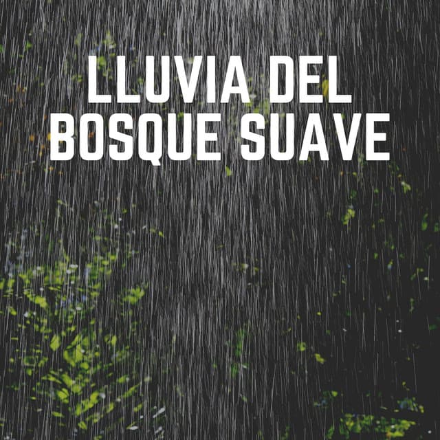 Lluvia del Bosque Suave - Lluvia para un sueño profundo
