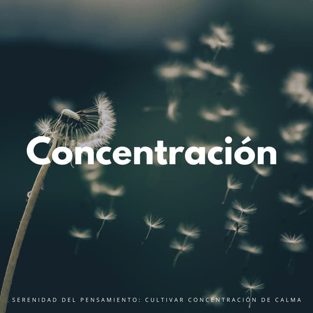 Serenidad Del Pensamiento: Cultivar Concentración De Calma - Música Inteligente