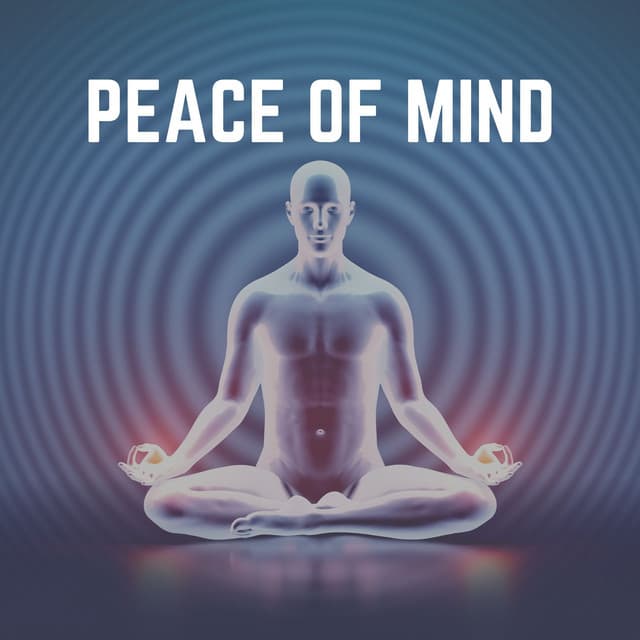 Peace of Mind - Zen Arena