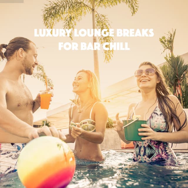 Luxury Lounge Breaks for Bar Chill - Bar Lounge