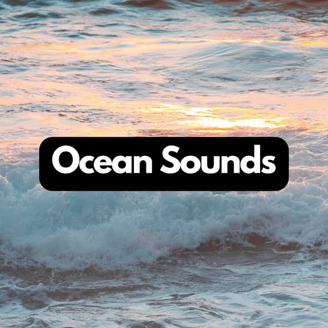 Seabreeze Serenades: Coastal Meditation Tracks - Water Sounds Natural White Noise