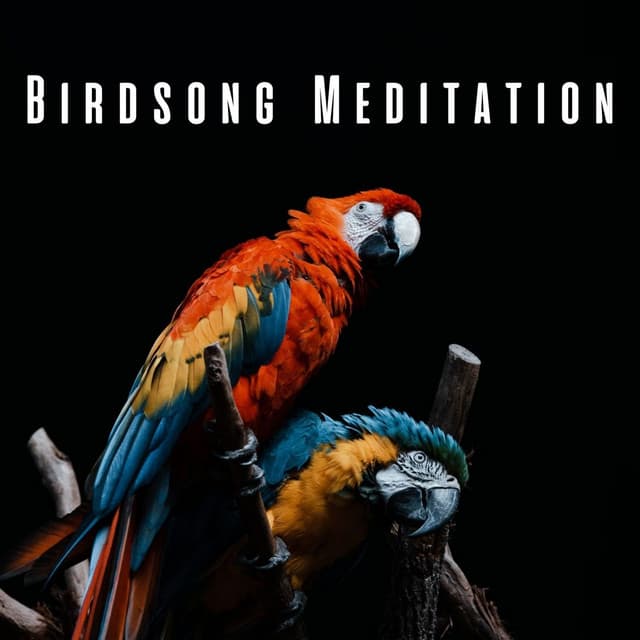 Birdsong Meditation: Serene Nature and Chill Music - Birds Of The West