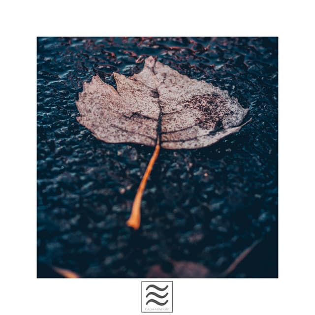 Stormy Rainfall Sounds for Sleeping - Lightning, Thunderstorms & Rain Storm Sounds