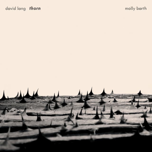 David Lang: Thorn - David Lang
