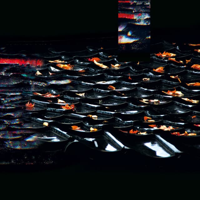 Sabi - Eraldo Bernocchi