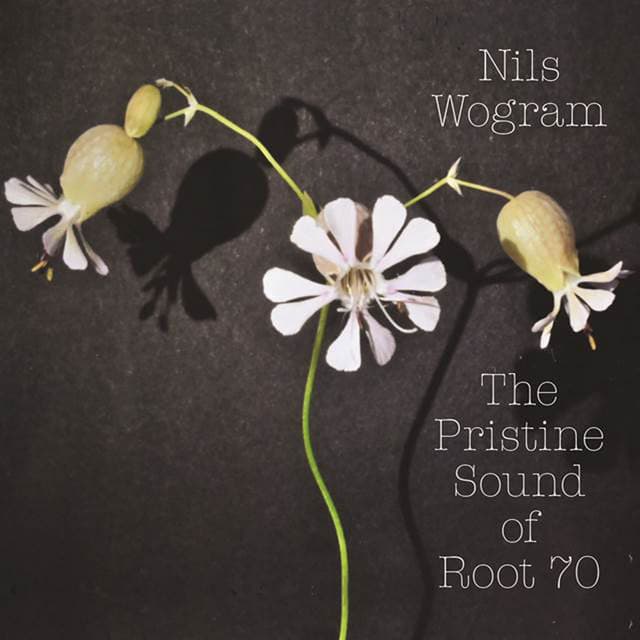 The Pristine Sound of Root 70 - Nils Wogram