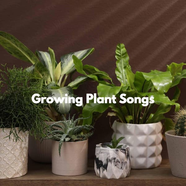 Growing Plant Songs - Lounge Music for Restaurants