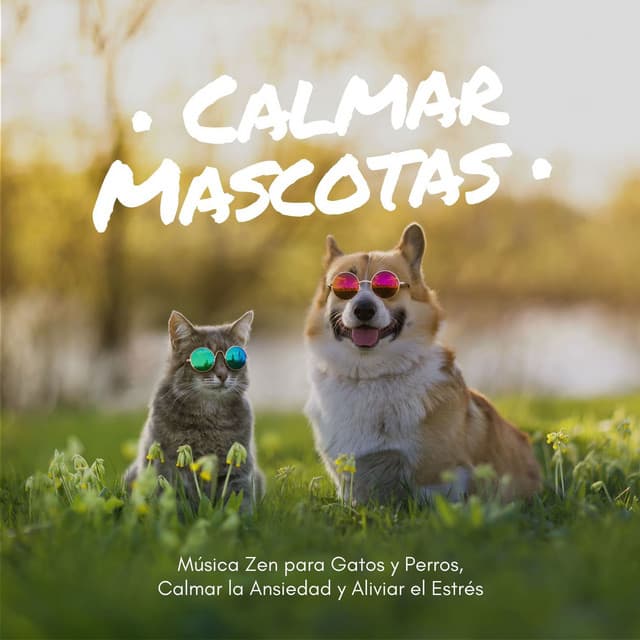Thiago Mascotas