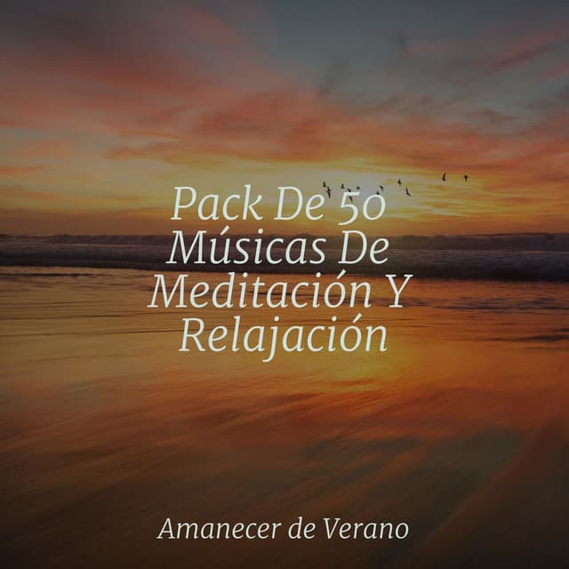 Pack De 50 Músicas De Meditación Y Relajación - Rumbas de España