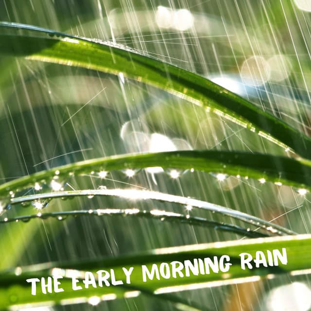 The Early Morning Rain - Relax Your Body & Mind with the Beautiful High Quality Rain Sounds - Rain Music!