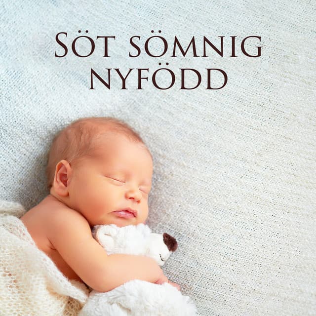 Little Baby Universe