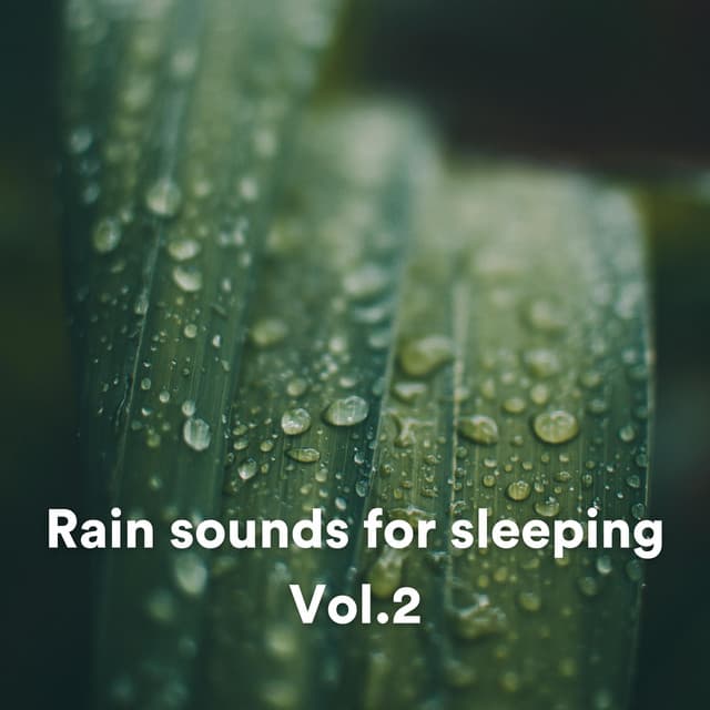 Rain Sounds for Sleeping, Vol. 2 - Relaxing Rain Sounds