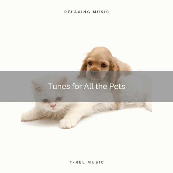 Tunes for All the Pets - Pets Relax