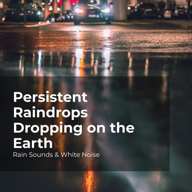 Persistent Raindrops Dropping on the Earth - Rain Sounds & White Noise