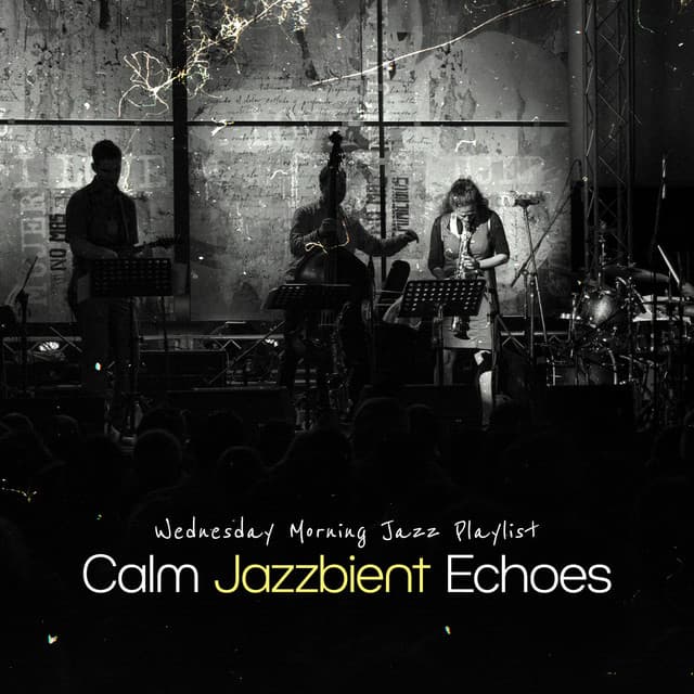Calm Jazzbient Echoes - Wednesday Morning Jazz Playlist