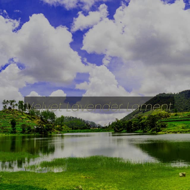 Velvet Lavender Lament - Arctic Comfort