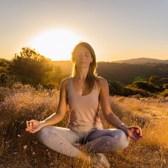 Lofi Armónico: Sesiones De Meditación - Trueno etc