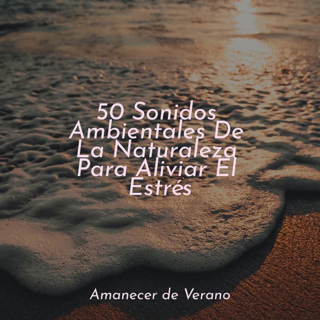 50 Sonidos Ambientales De La Naturaleza Para Aliviar El Estrés - Ambiente