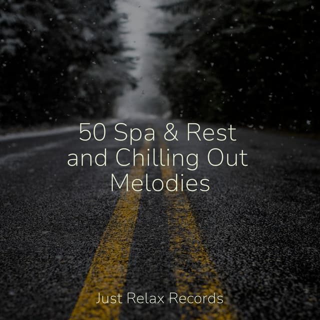 50 Spa & Rest and Chilling Out Melodies - Meditación