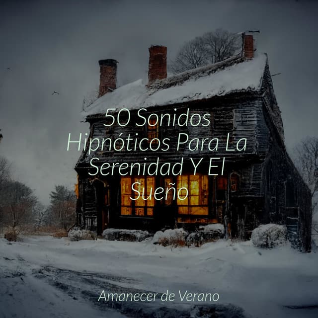 50 Sonidos Hipnóticos Para La Serenidad Y El Sueño - Sonidos de la Naturaleza Relax