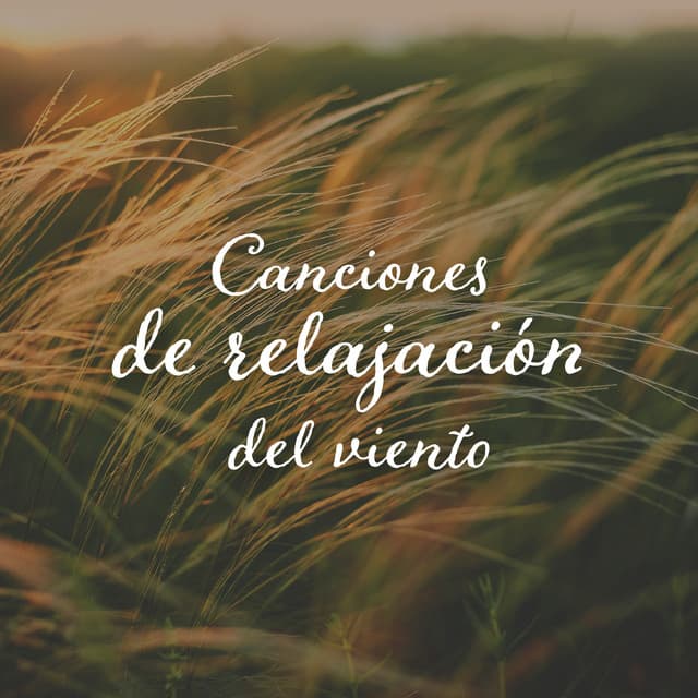 Canciones de relajación del viento: Cerca de la naturaleza, Los mejores sonidos de la naturaleza - Academia de Música con Sonidos de la Naturaleza