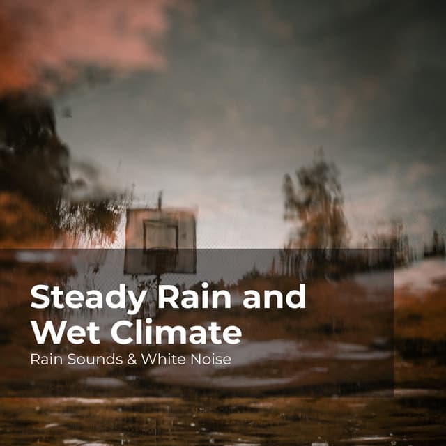 Steady Rain and Wet Climate - Rain Sounds & White Noise
