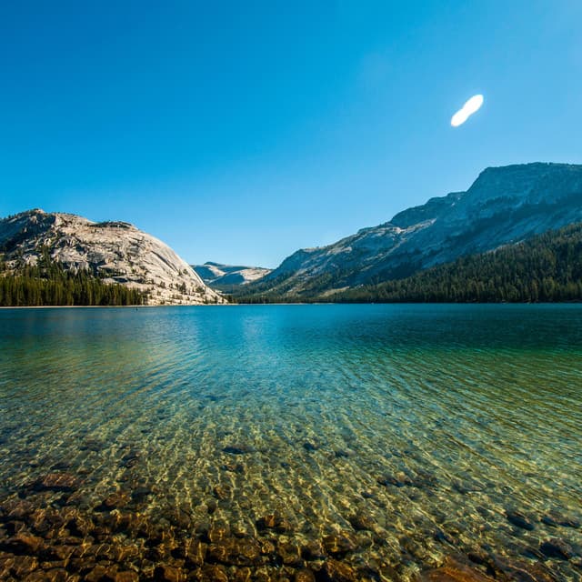 Mystic Waterscapes Oasis: Gentle Stream Harmony - West Coast Soundscape