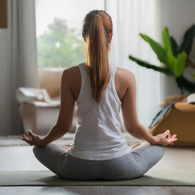 Armonía Meditativa: Paisajes Sonoros Equilibrados - Tonos milagrosos potentes de 432 Hz