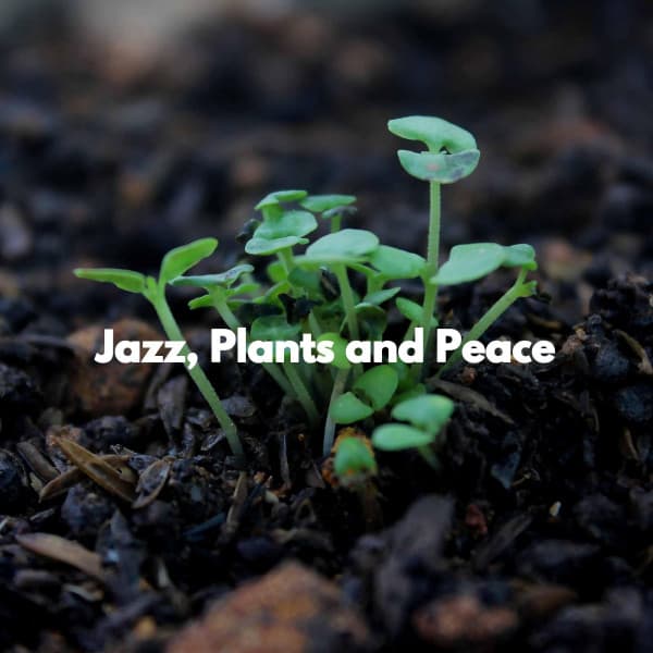 Jazz, Plants and Peace - Jazz para Estudiar