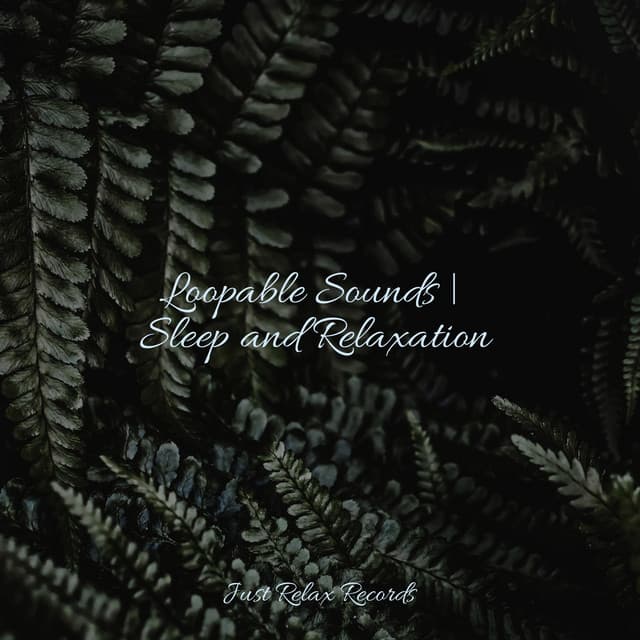 Loopable Sounds | Sleep and Relaxation - Smart Baby Lullaby