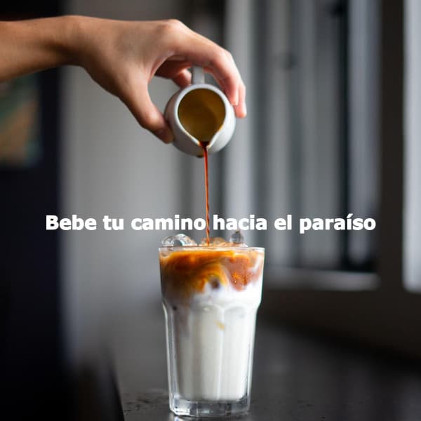 Bebe tu camino hacia el paraíso - New York Jazz Bar