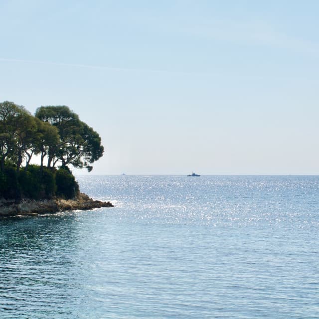 Big Sud - Nicolas Folmer