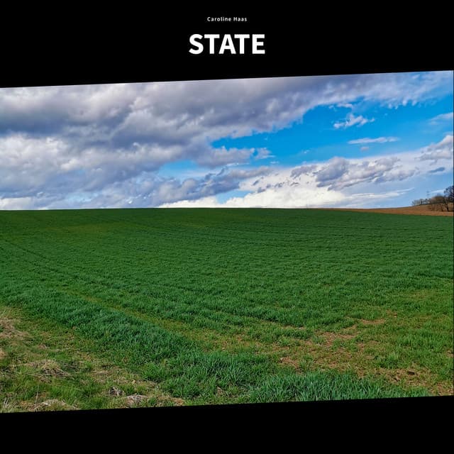 State - Caroline Haas