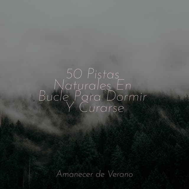 50 Pistas Naturales En Bucle Para Dormir Y Curarse - Relajacion Del Mar
