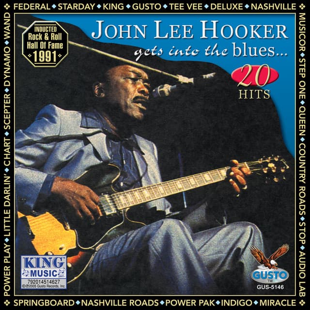 Gets Into The Blues - John Lee Hooker