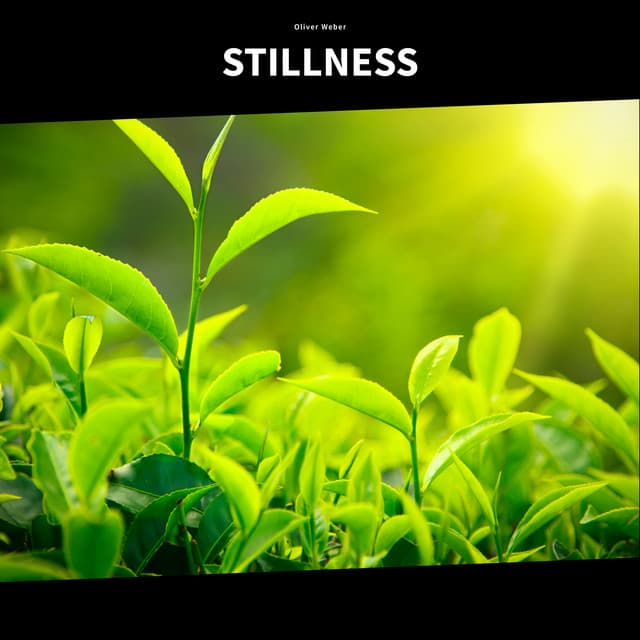 Stillness - Oliver Weber