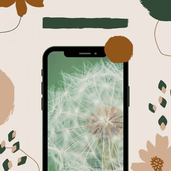 Trumpet and Alto Saxophone - Fun Jazz