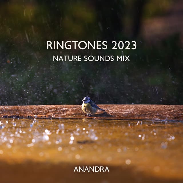 Ringtones 2023: Nature Sounds Mix, Birds, Waves, Rain, Calming Water - Anandra